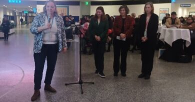 FRIEDENSBAUM IN DER ROTUNDE DES VIC FRIEDENSBAUM IN DER ROTUNDE DES VIC