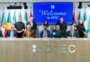DIE OPEC IN WIEN: INSTITUTIONELLE EINBLICKE UND GLOBALE FUNKTION