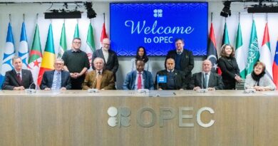 DIE OPEC IN WIEN: INSTITUTIONELLE EINBLICKE UND GLOBALE FUNKTION DIE OPEC IN WIEN: INSTITUTIONELLE EINBLICKE UND GLOBALE FUNKTION